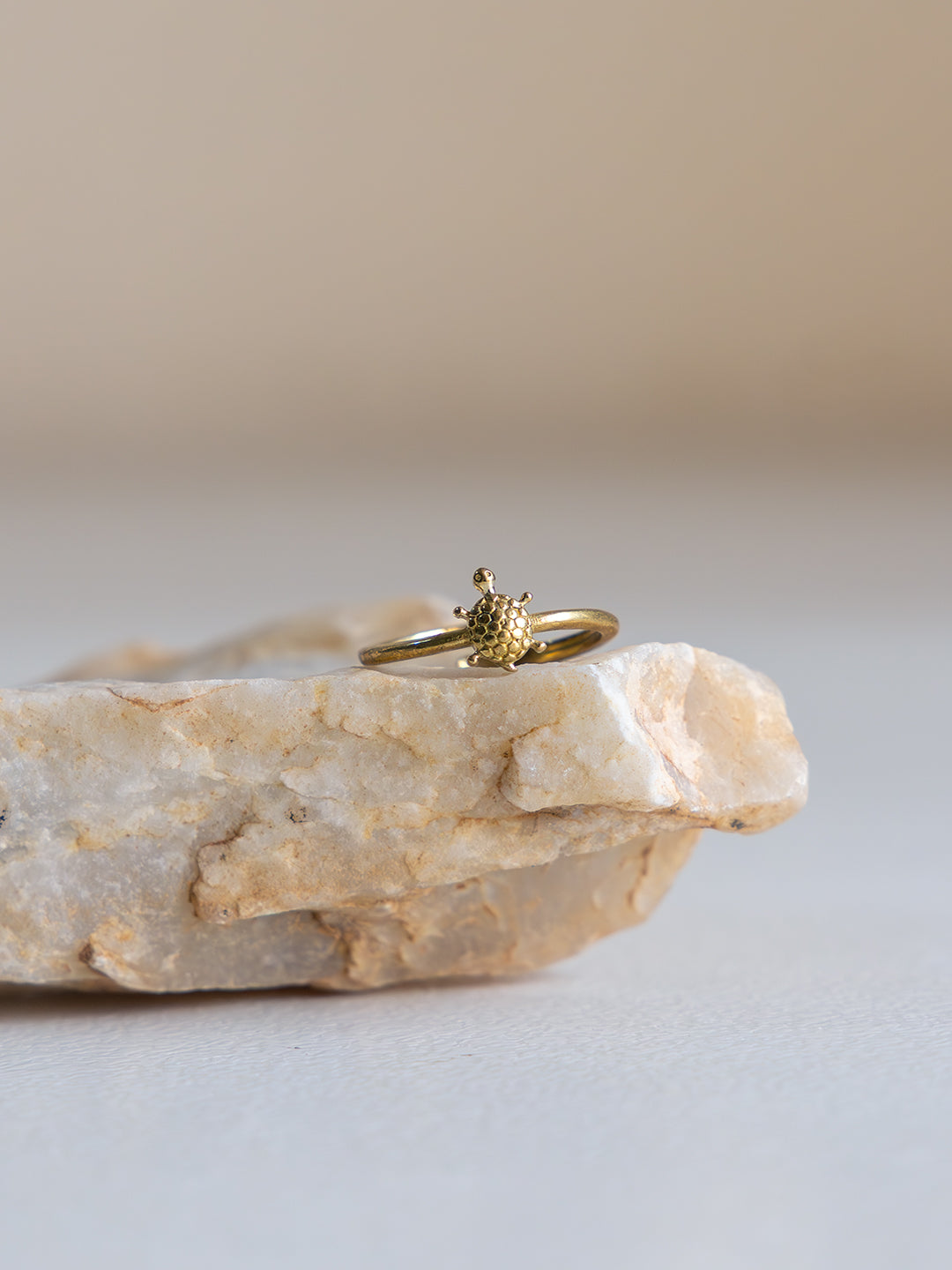 Tortina Charm Ring Brass Ring (Anti Tarnish)