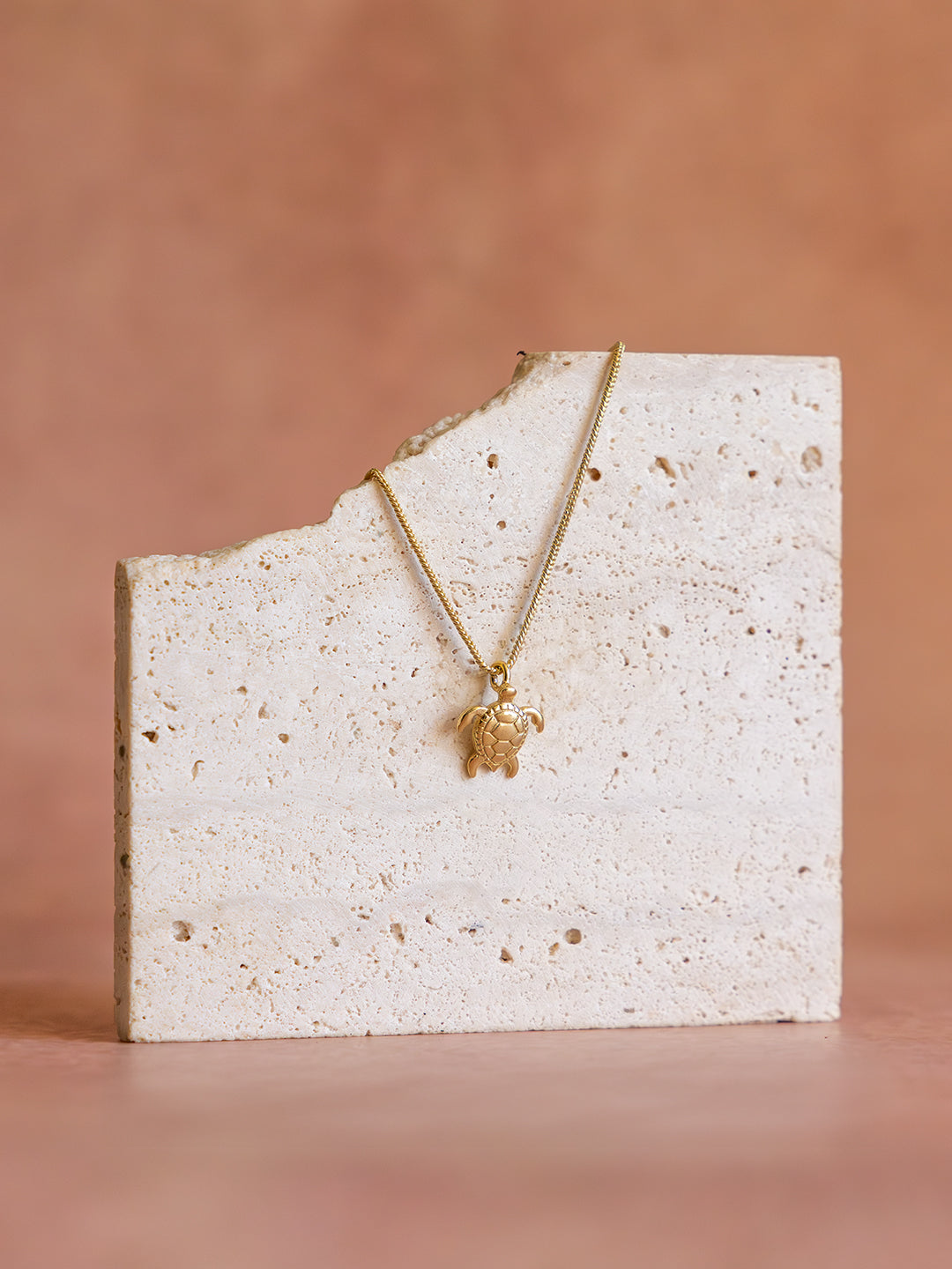 Turtle Charm Brass Necklace (Anti Tarnish)