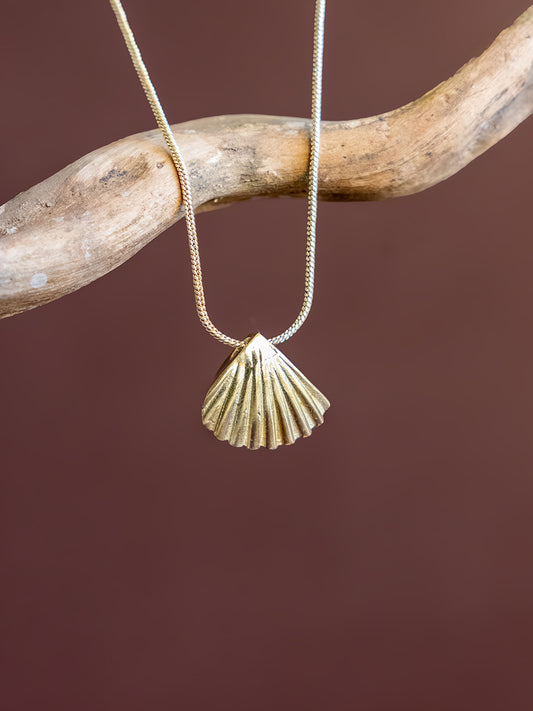 Shell Glow Brass Necklace (Anti Tarnish)