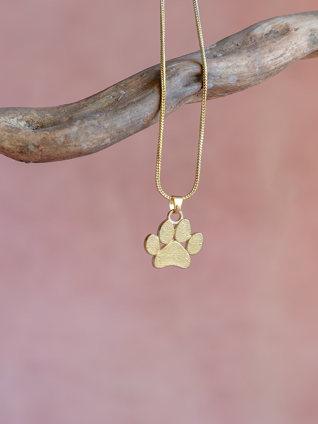 Paw Love Charm Brass Necklace (Anti Tarnish)