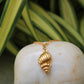 Sea-Shell Necklace - Lili-Origin